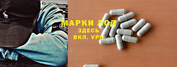 2c-b Ельня