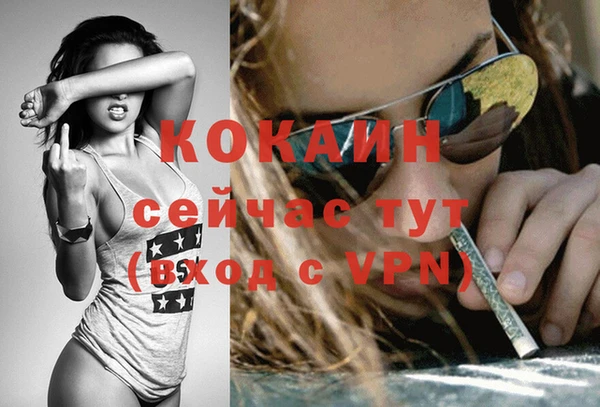 мет Елизово