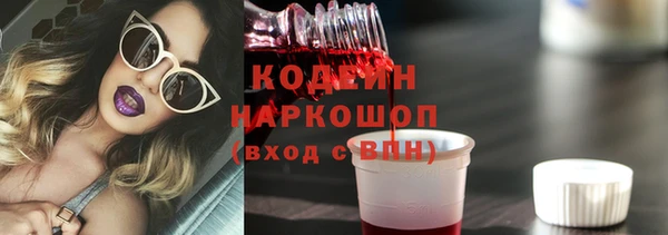 2c-b Ельня