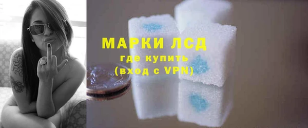 2c-b Ельня
