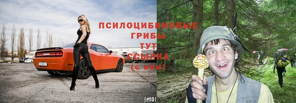 кристаллы Елабуга