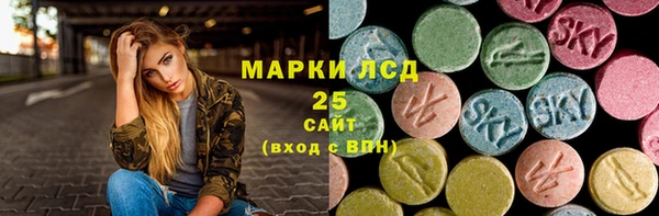 2c-b Ельня