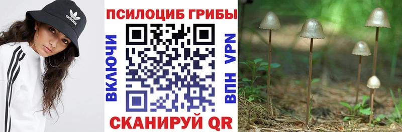 даркнет сайт  Заозёрный  Псилоцибиновые грибы мицелий 